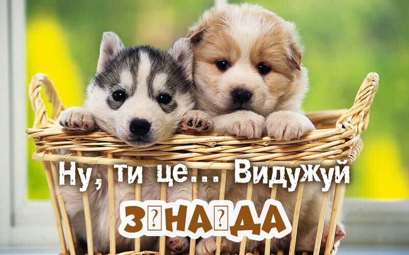 Картинка видужуй і більше не хворій, Зінаїда