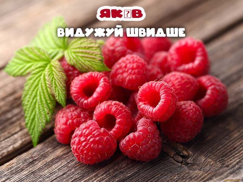Листівка Видужуй, Яків!
