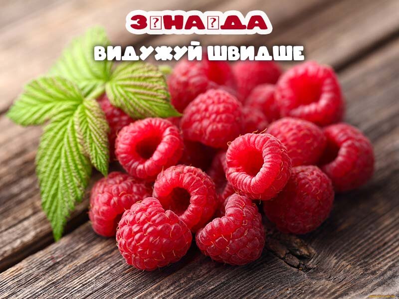 Листівка Видужуй, Зінаїда!